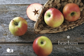 Braeburn Mews Brochure