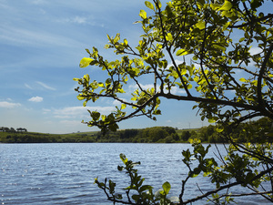 The beautiful reservoir next to the SummerFord development.