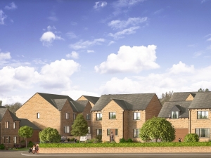 View of Swaine Meadow from the roadside.