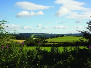 Countryside local to Swaine Meadow, Hoylandswaine.