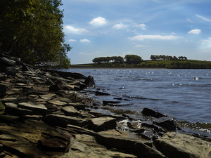 The beautiful reservoir next to the SummerFord development.