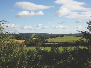 Swaine Meadow is surrounded by beautiful open countryside.