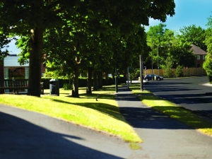 Tree-lined road local to Braeburn Mews, Bawtry